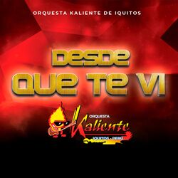 Cover of Desde Que Te Vi