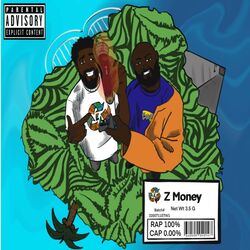Cover of Z$$$$$
