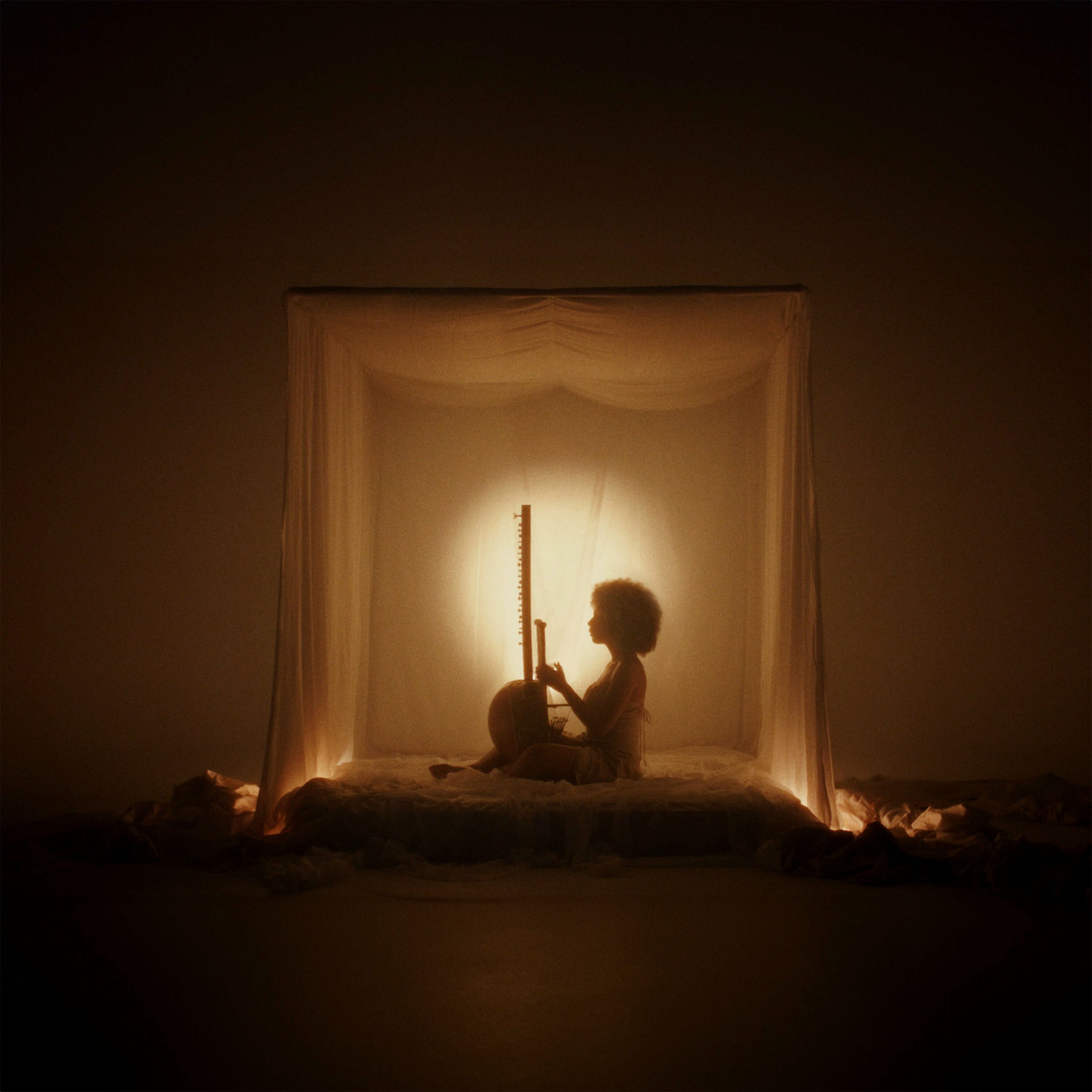 Album cover of Ancestors