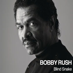Cover of Blind Snake