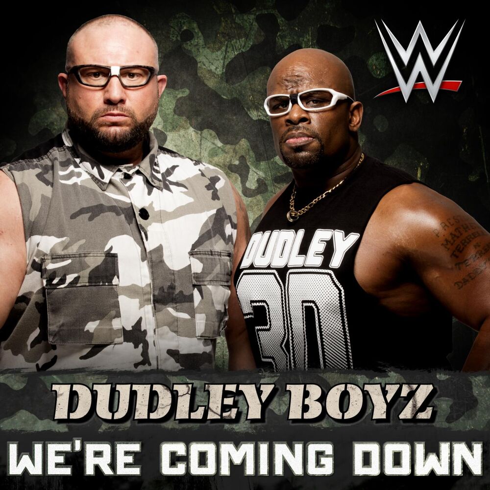 Picture of WWE: We're Coming Down (Dudley Boyz)