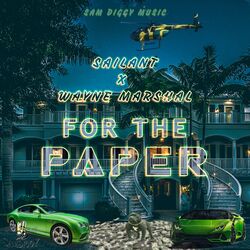 Cover of For the Paper
