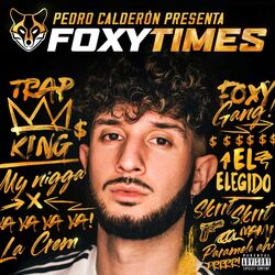 Cover of Foxy Times