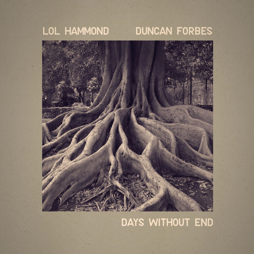 Picture of Days Without End