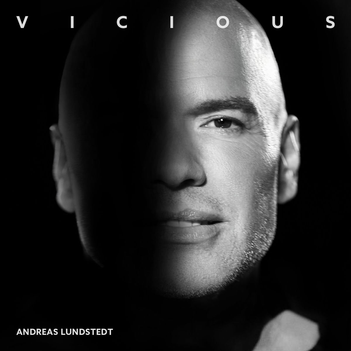 Album cover of Vicious