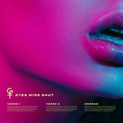 Cover of Eyes Wide Shut
