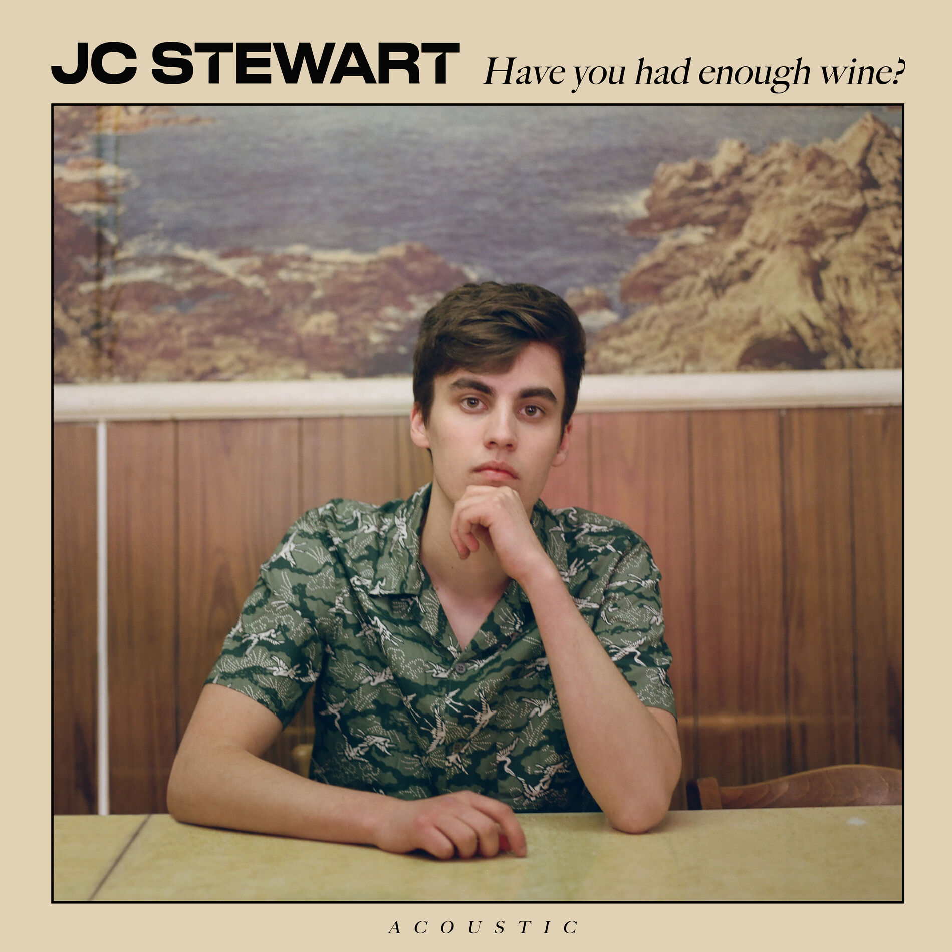 Album cover of Have You Had Enough Wine?