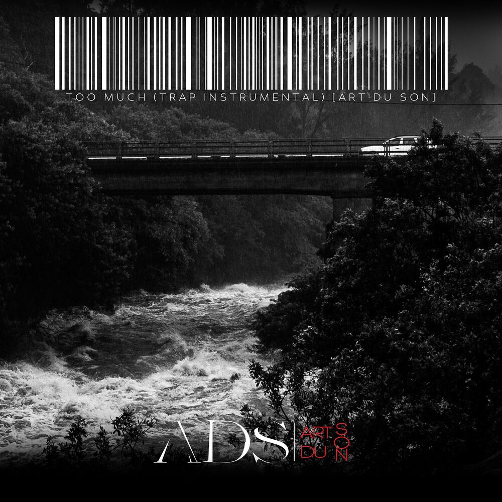 Picture of Too Much (Trap Instrumental) [Art Du Son]