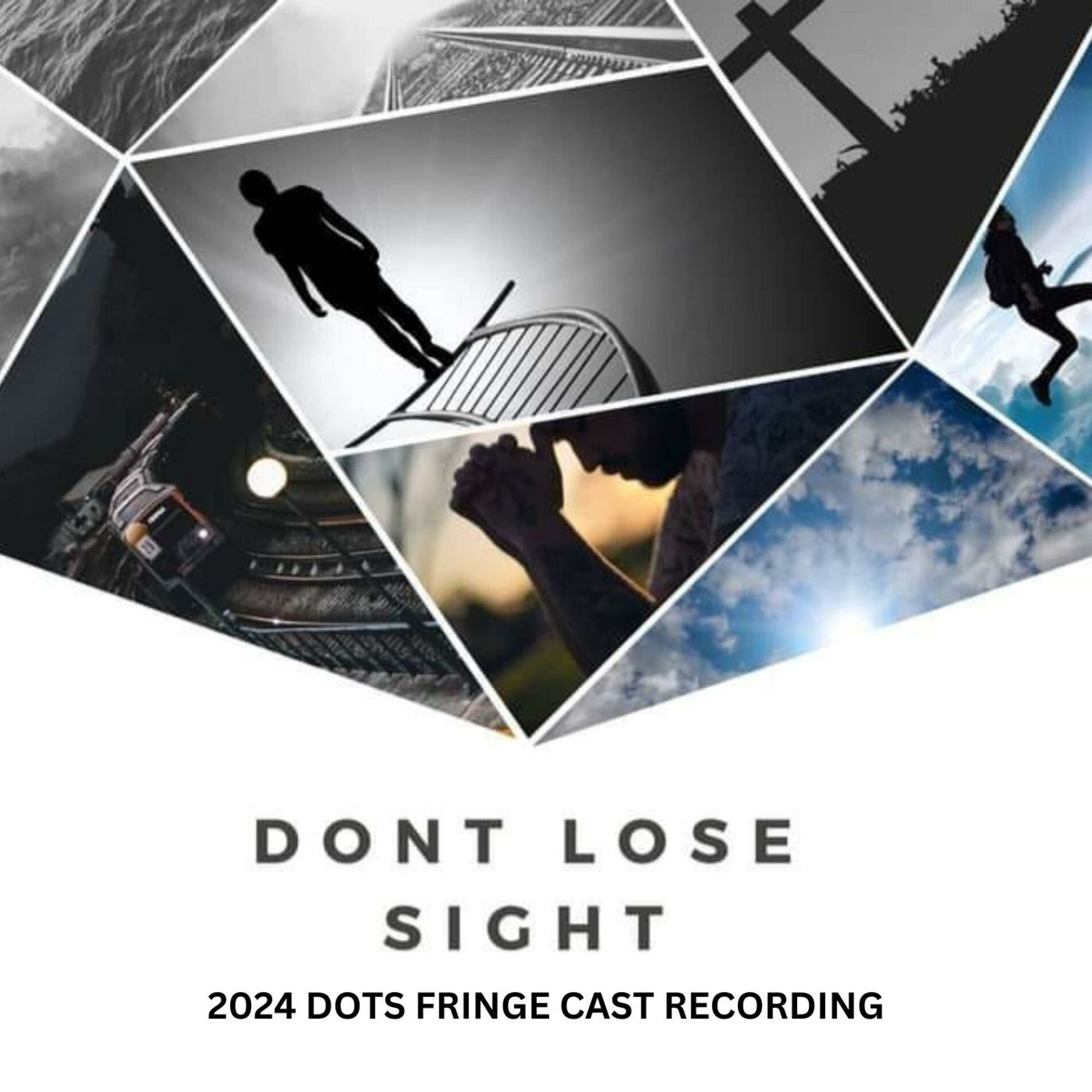 Album cover of Don't Lose Sight (2024 Fringe Cast Album)