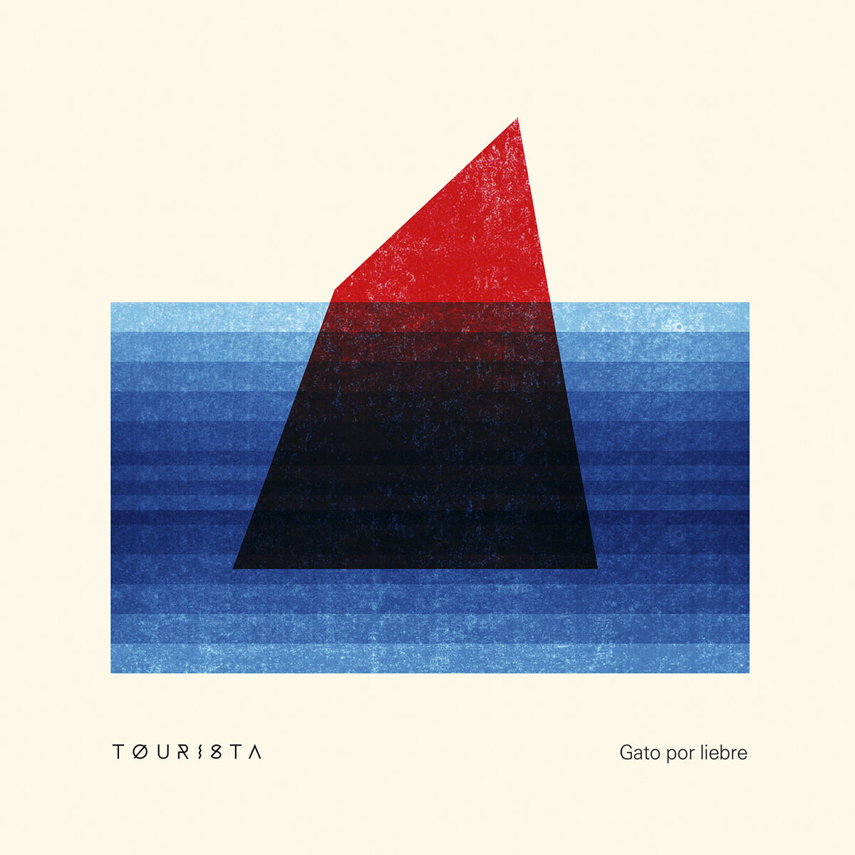 Album cover of Gato por Liebre