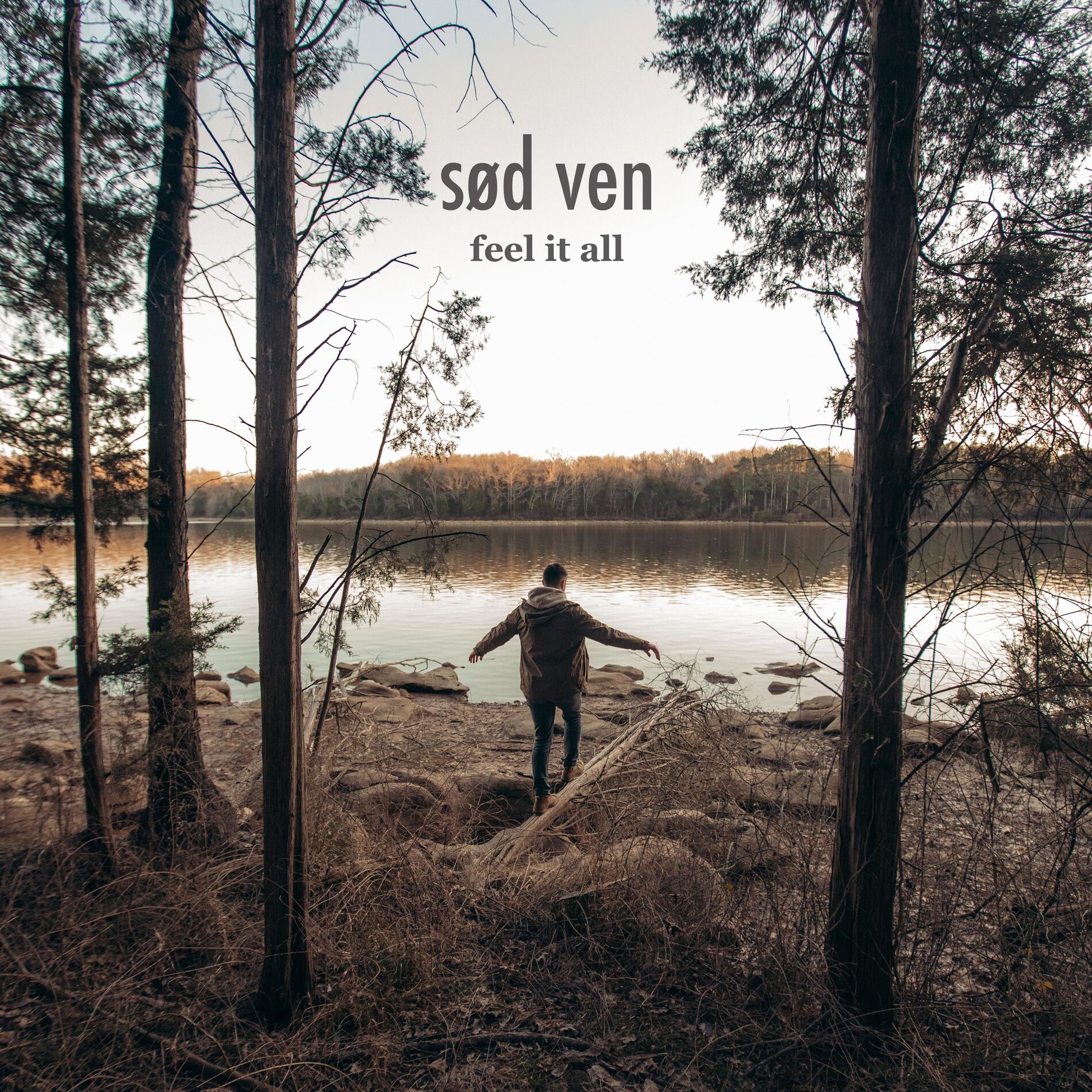 Album cover of feel it all