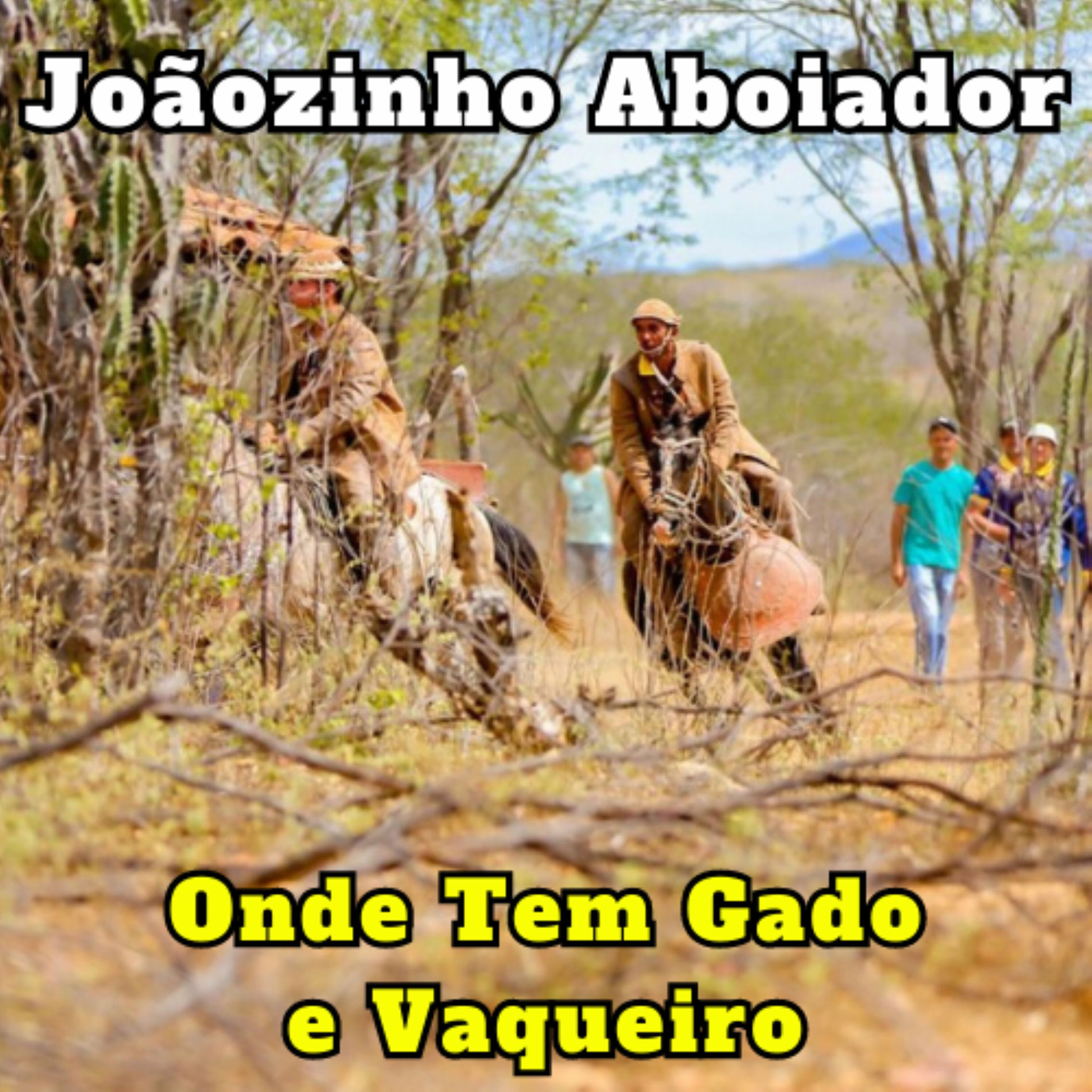 Album cover of Onde Tem Gado e Vaqueiro
