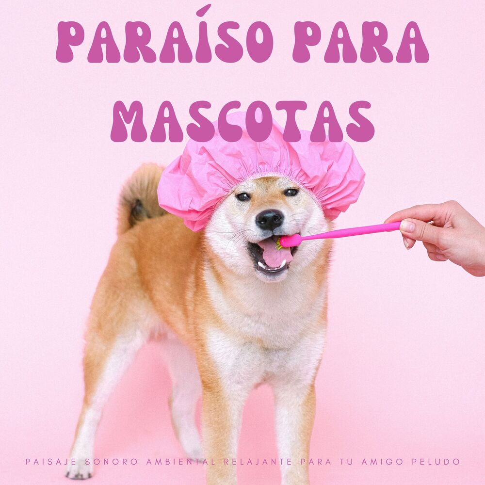 Picture of Paraíso Para Mascotas: Paisaje Sonoro Ambiental Relajante Para Tu Amigo Peludo