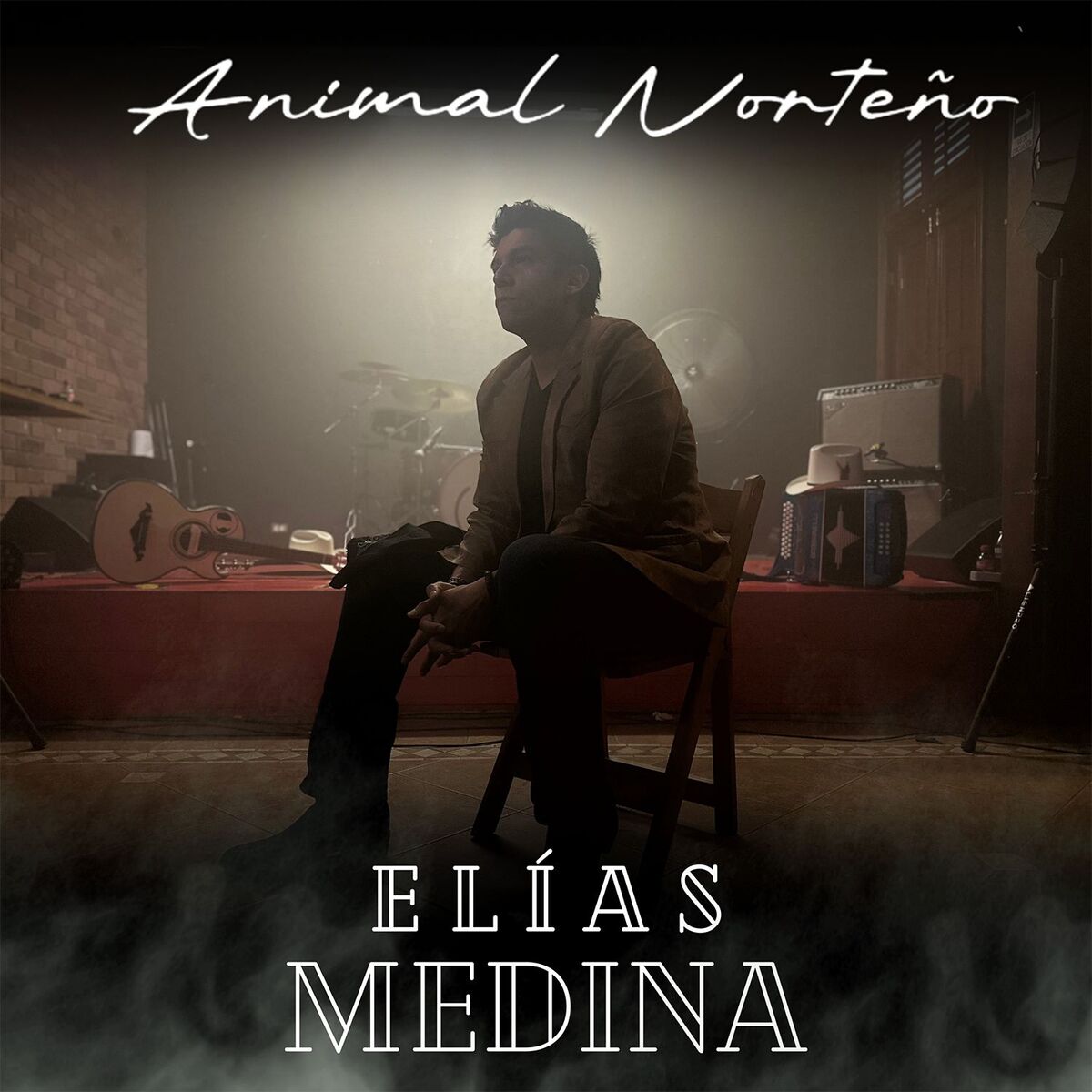 Album cover of Animal Norteño