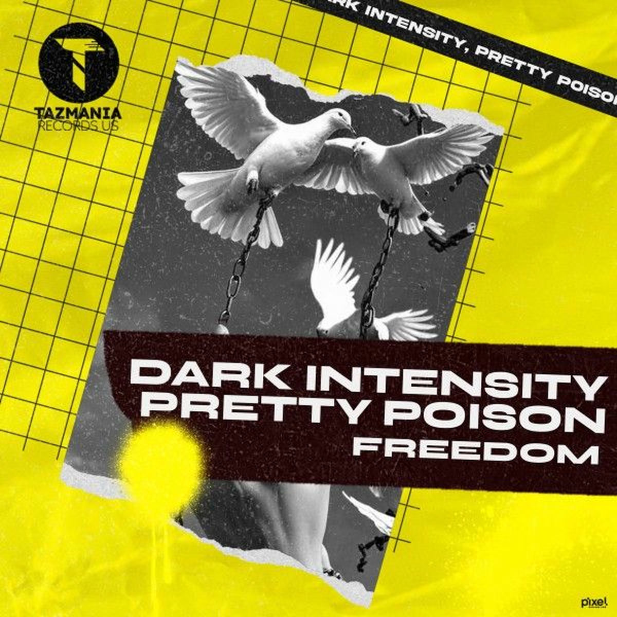 Album cover of Freedom