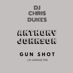 Cover of Gun Shot ( Uk Garage Mix )