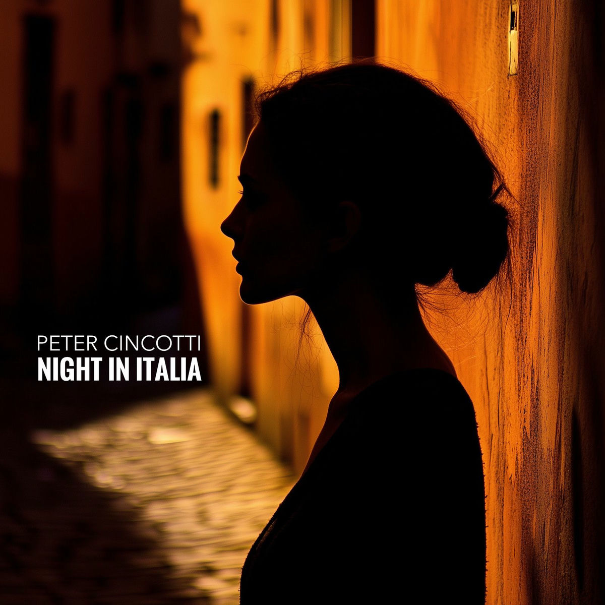 Album cover of Night in Italia