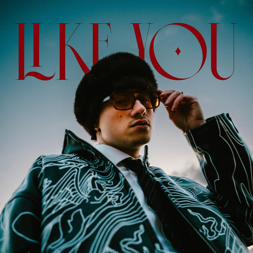 Picture of Like You
