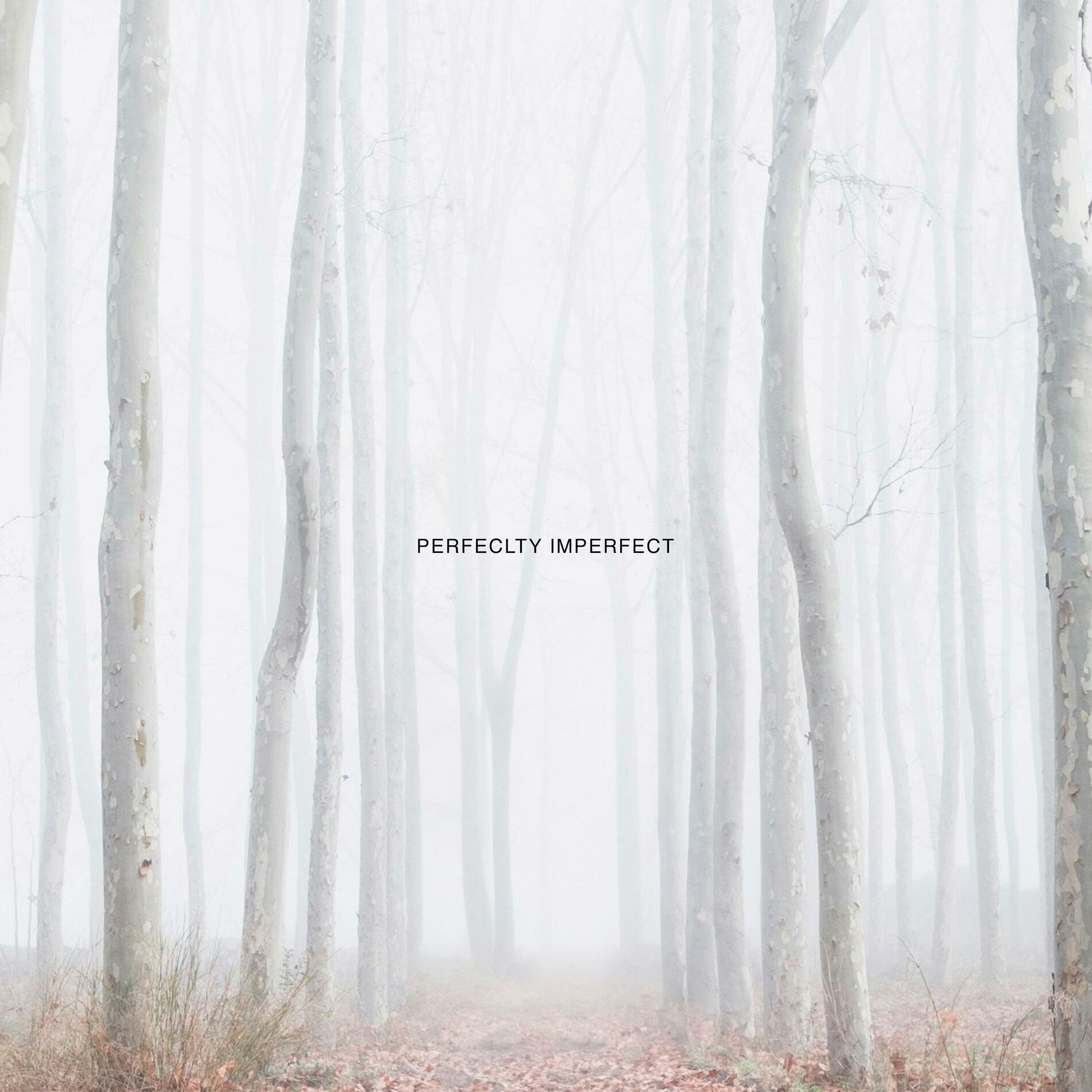 Album cover of Perfectly Imperfect