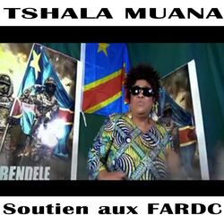 Cover of Soutien aux FARDC
