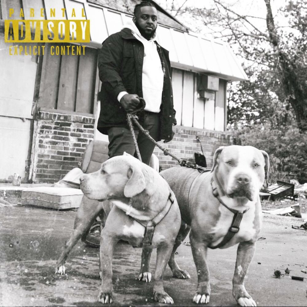 Picture of THAT'S DOG IN EM!