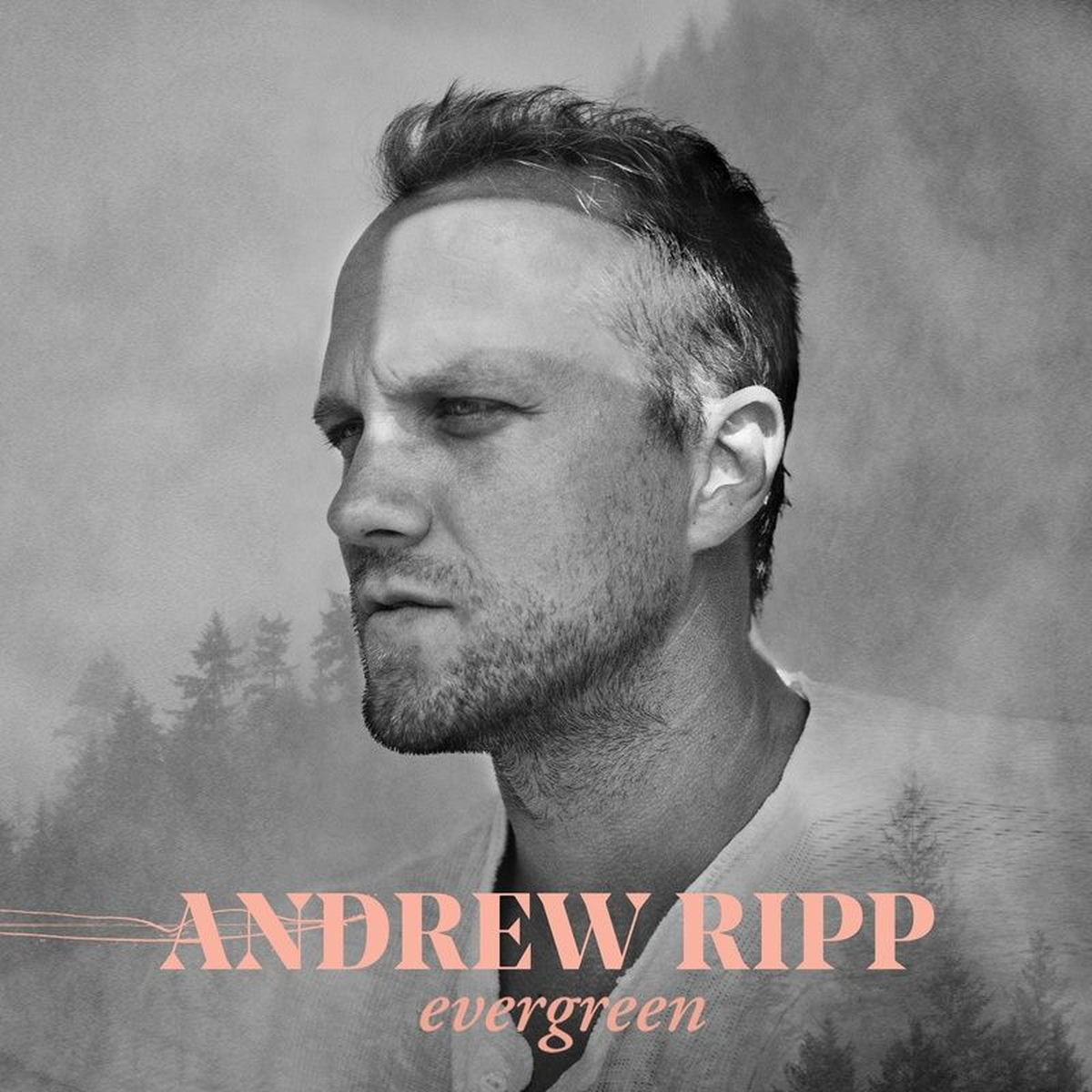 Album cover of Evergreen