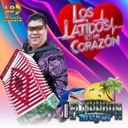 Cover of Los Latidos De Mi Corazon