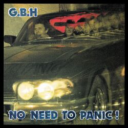 Cover of No Need to Panic!