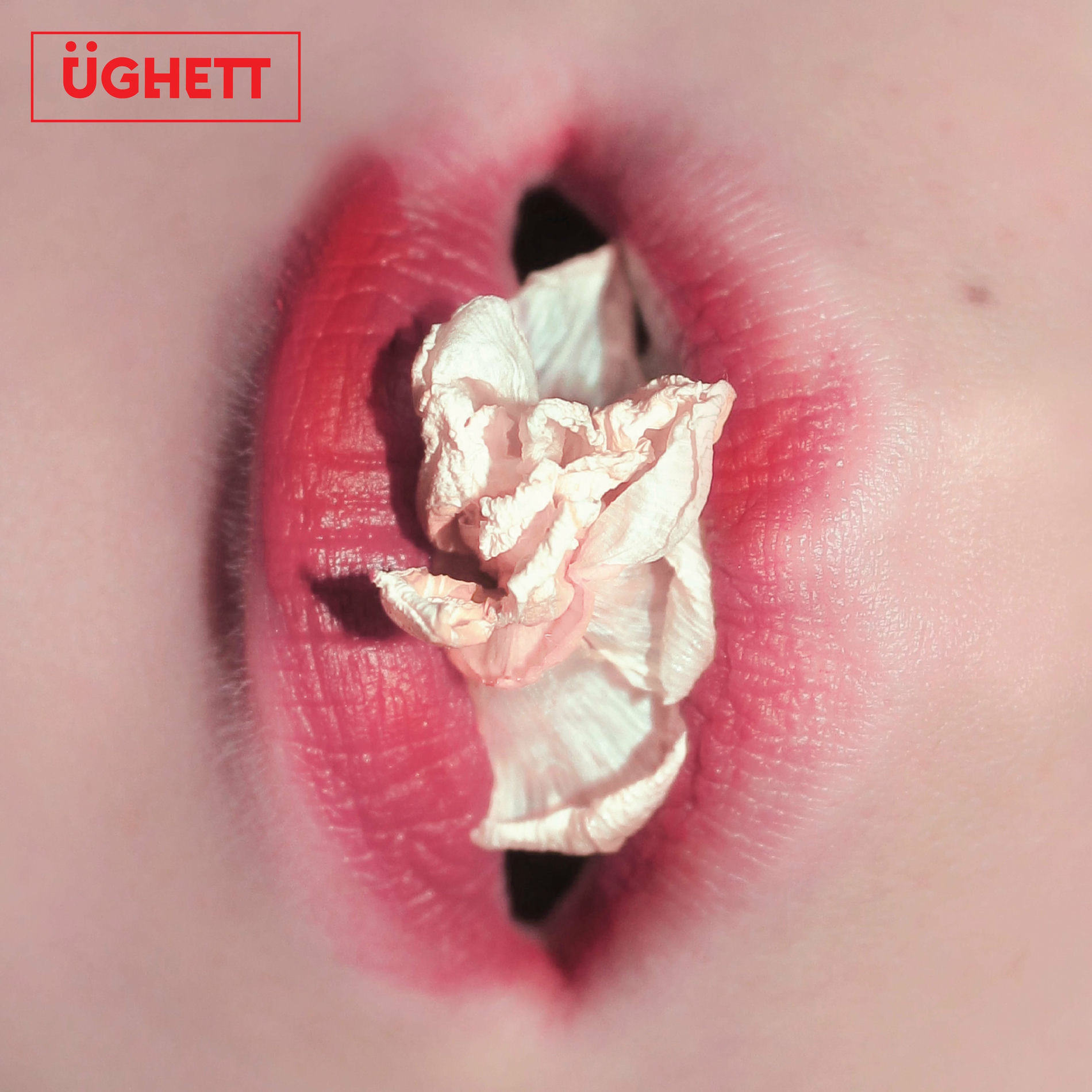 Album cover of Nectar