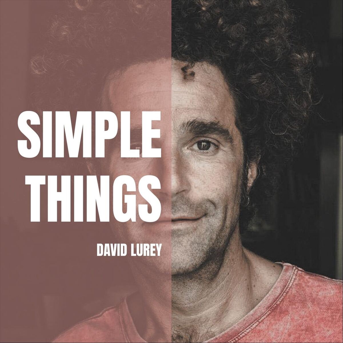 Album cover of Simple Things
