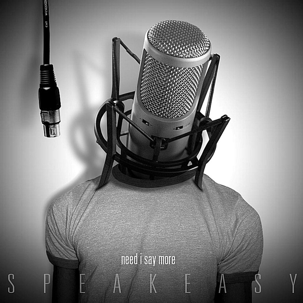 Album cover of Need I Say More