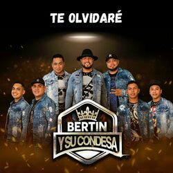 Cover of Te Olvidaré