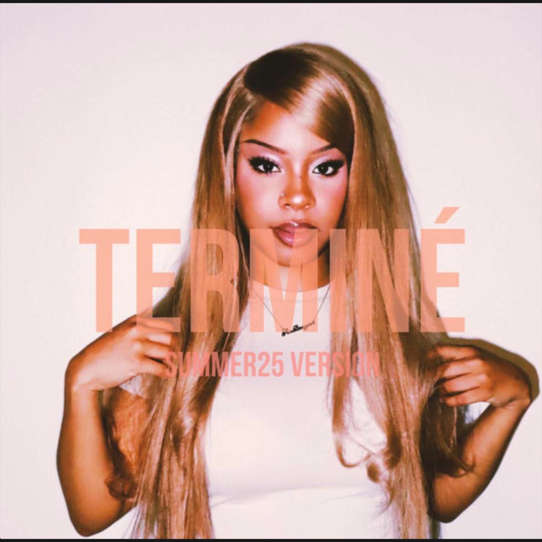 Album cover of Terminé - Summer Version