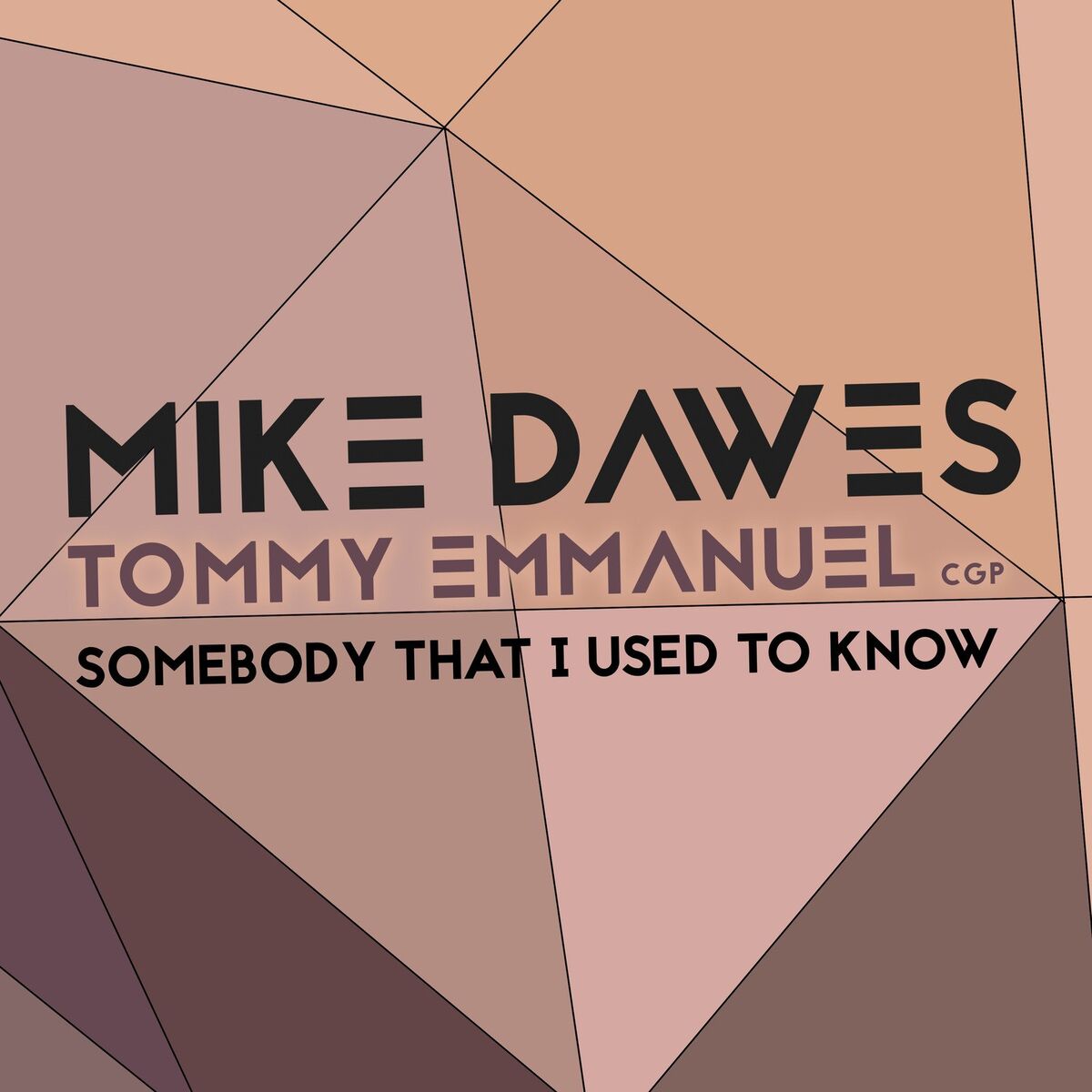 Album cover of Somebody That I Used to Know