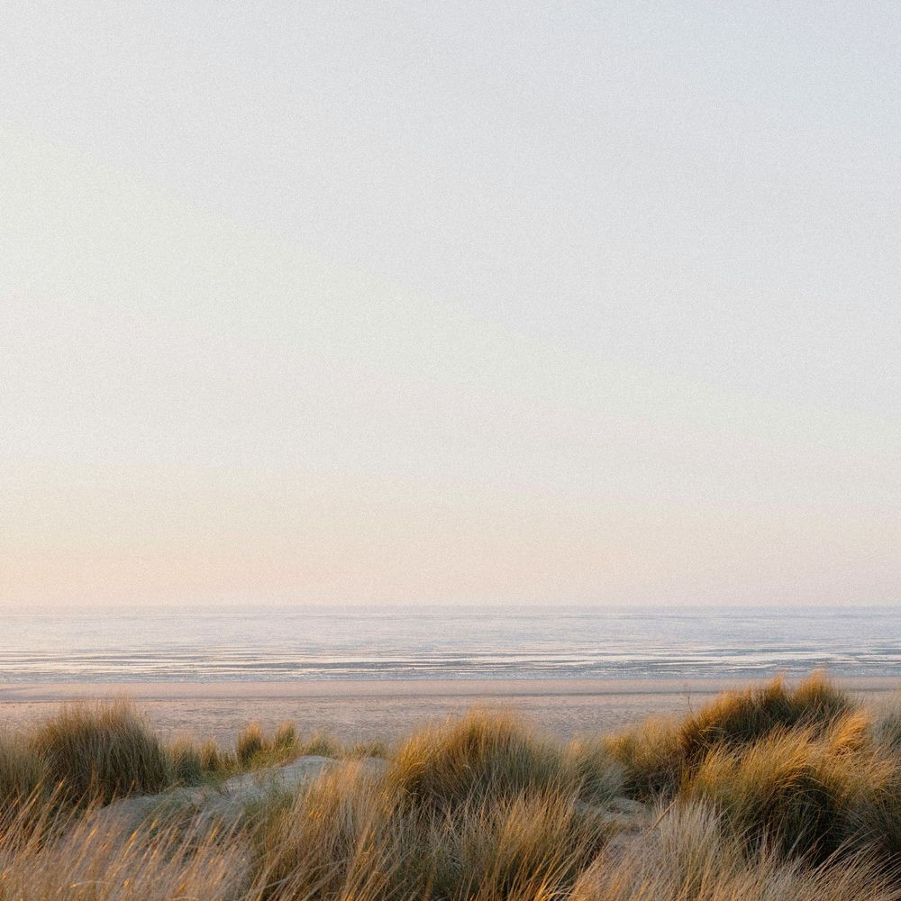 Ocean Shore