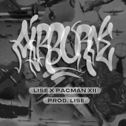 Cover of Airborne