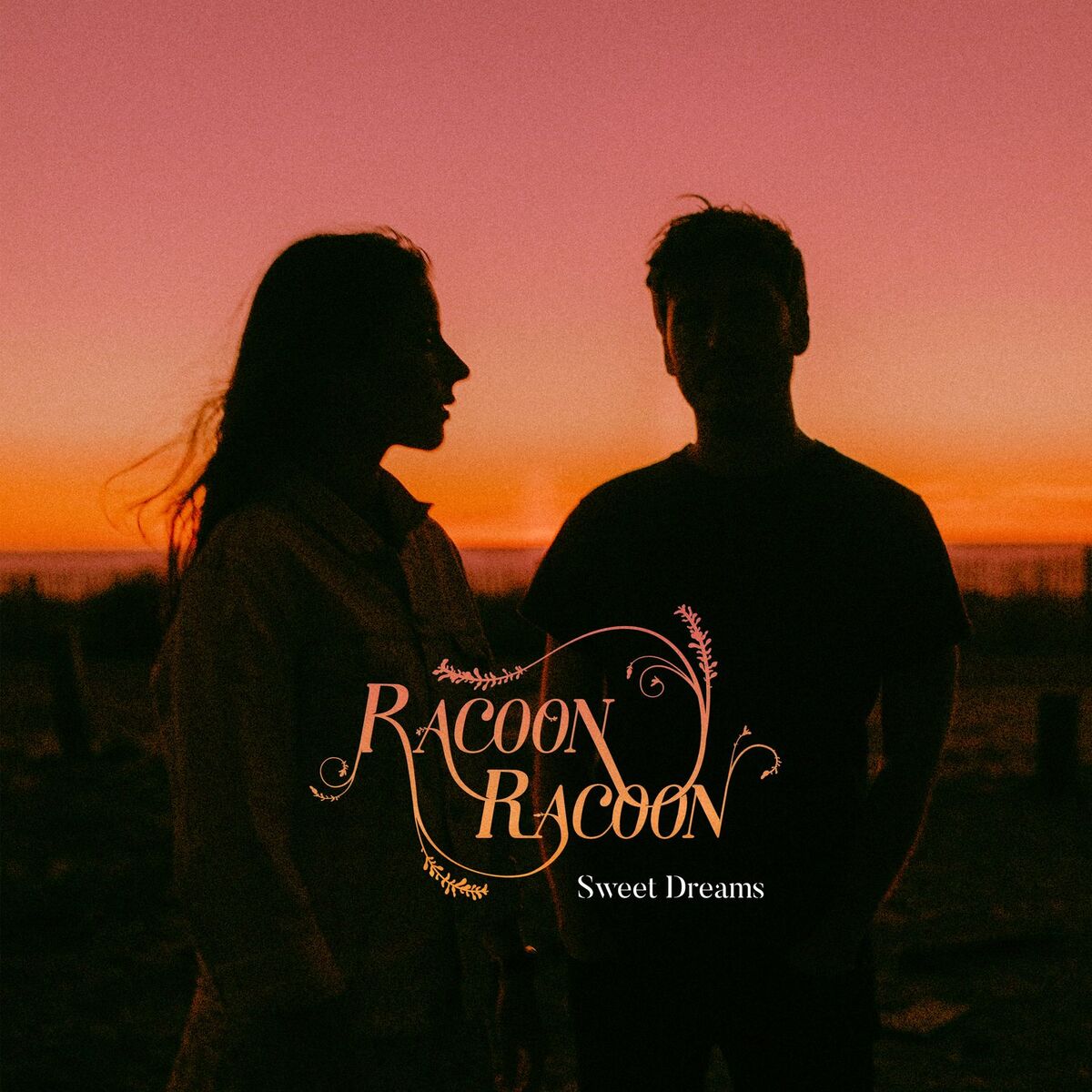 Album cover of Sweet Dreams