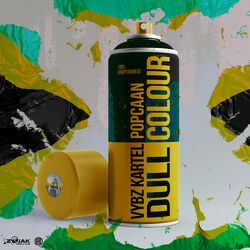Cover of Dull Colour