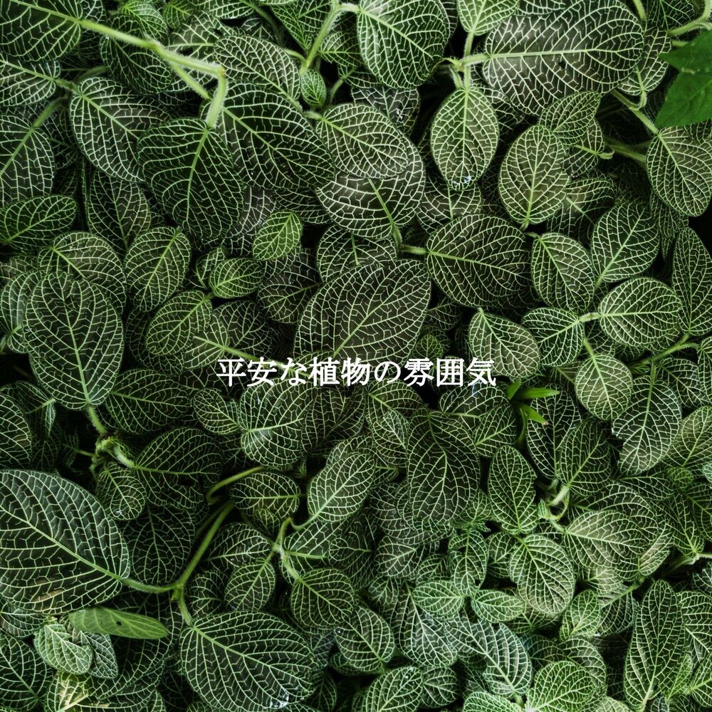 Picture of 平安な植物の雰囲気
