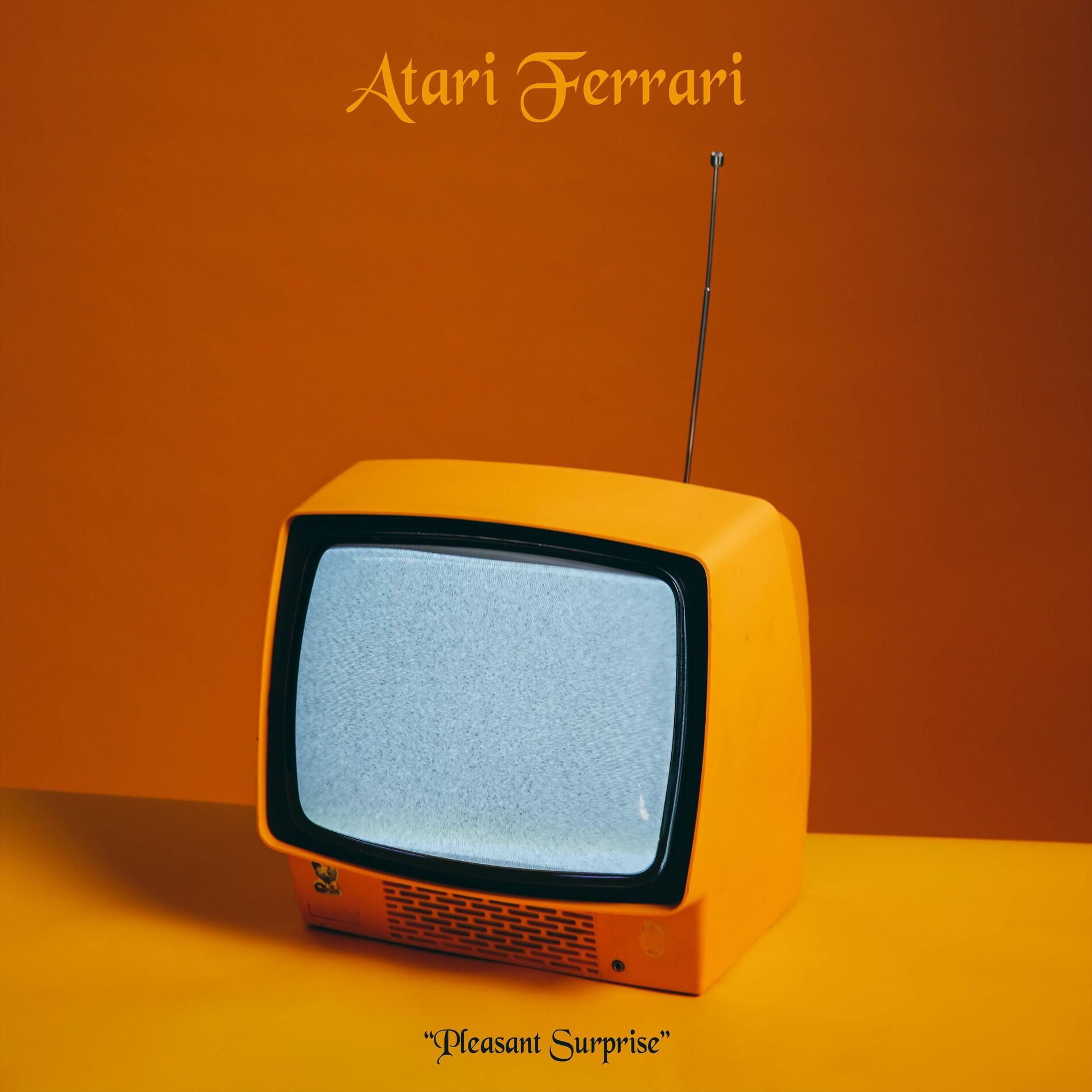 Album cover of Pleasant Surprise