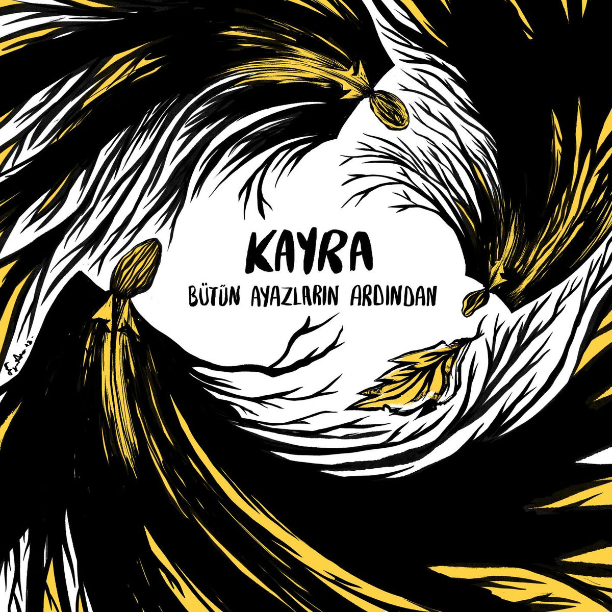 Album cover of Bütün Ayazların Ardından