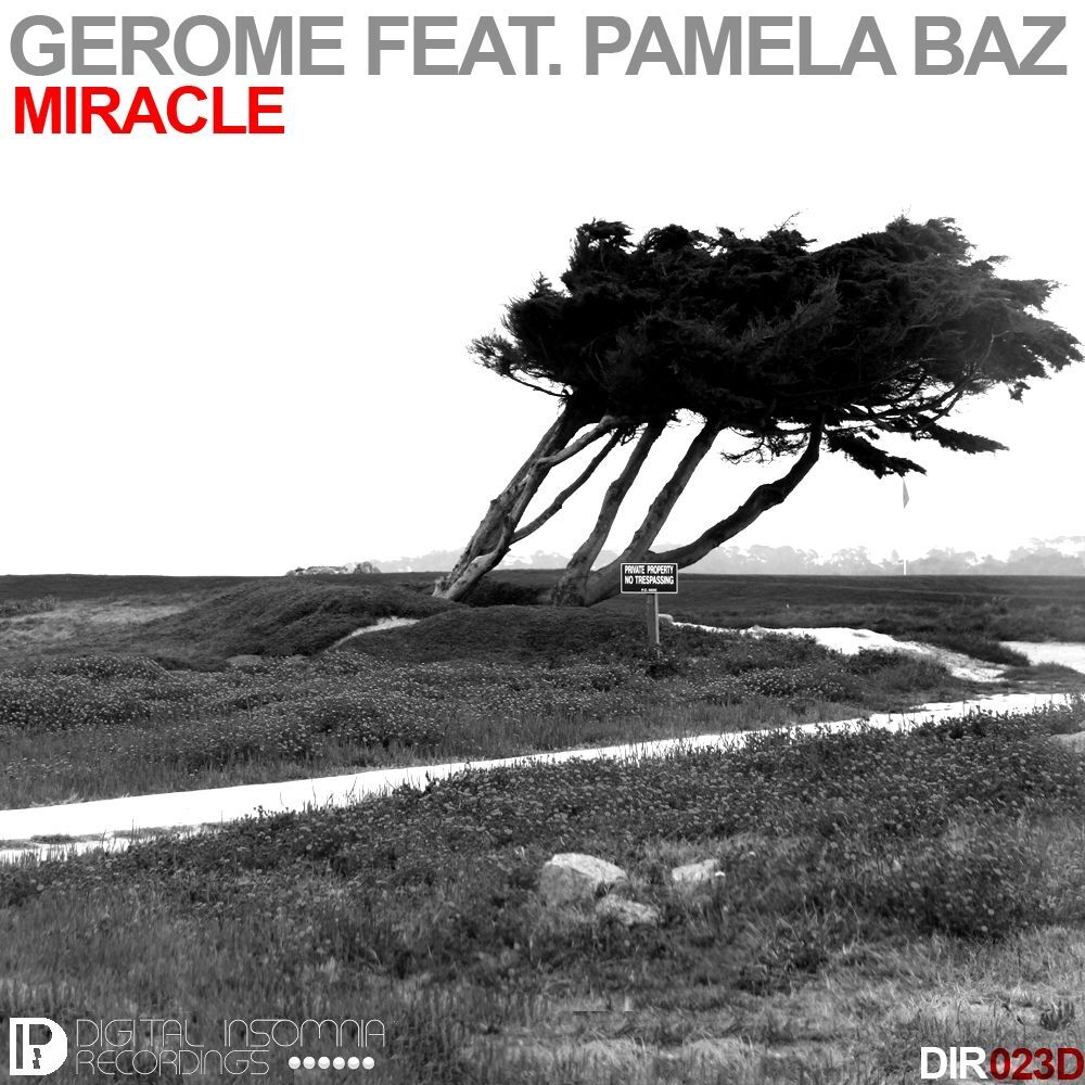 Picture of Miracle