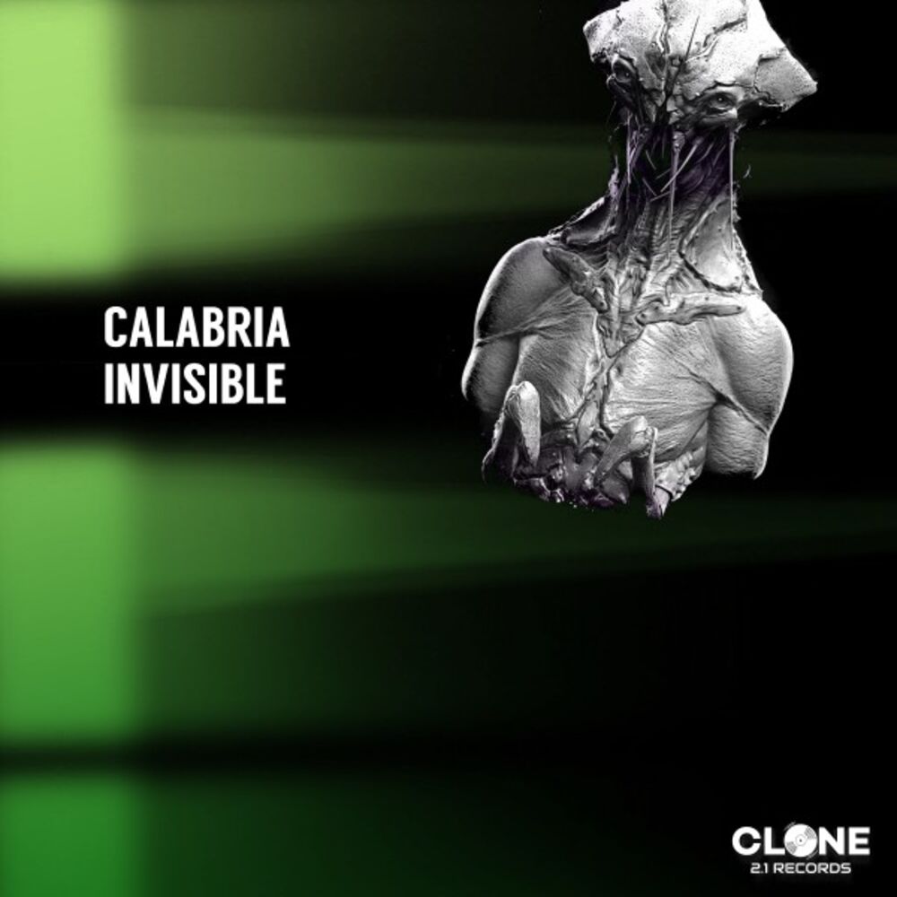 Picture of Invisible