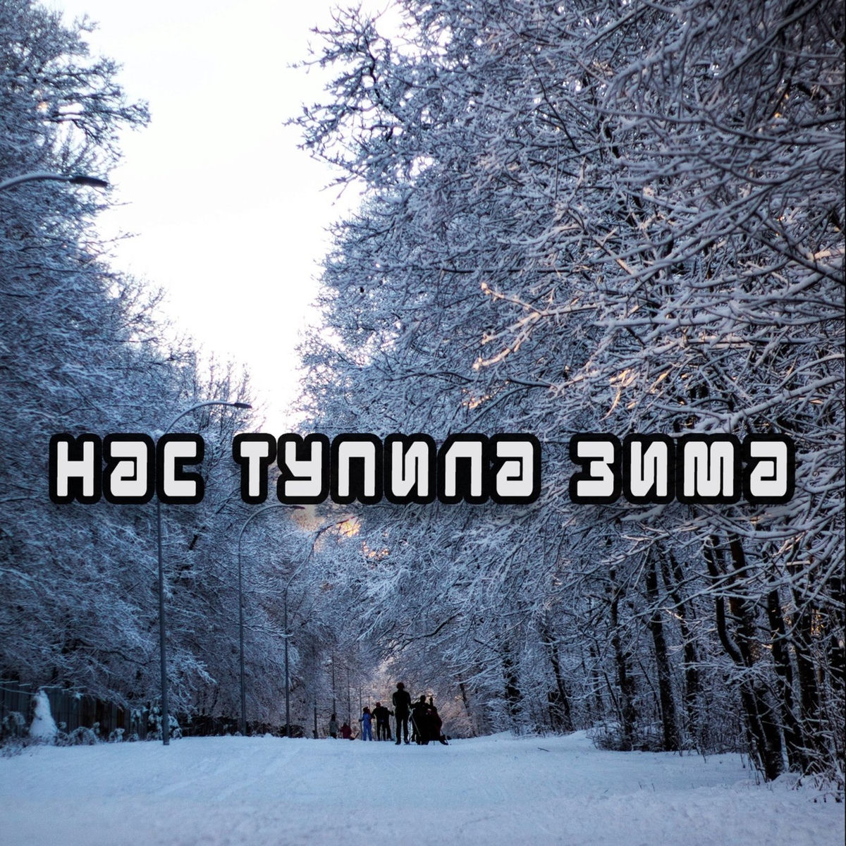 Album cover of Нас тупила зима
