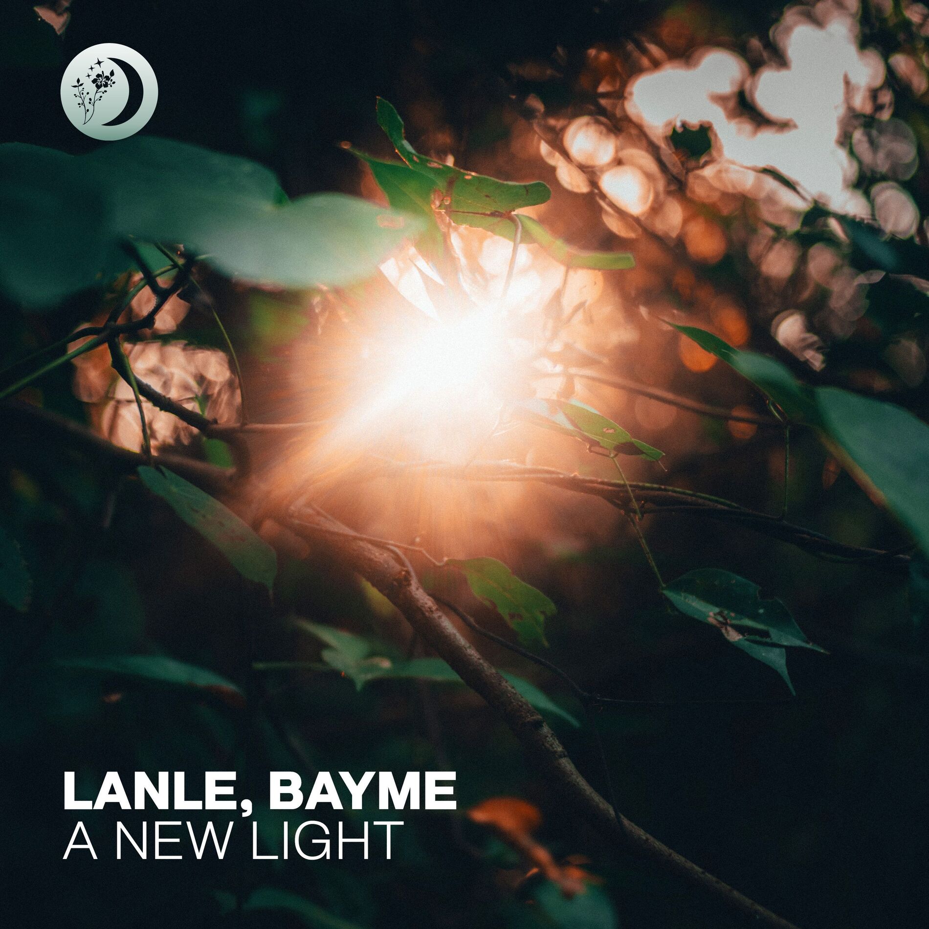 Album cover of A New Light