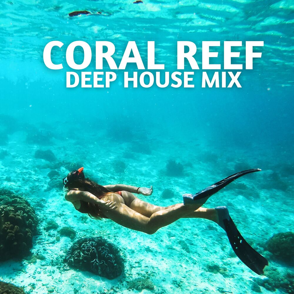 Picture of Coral Reef Deep House Mix: Summer Chill Out, Tropical House Paradise, Beach Bar Music