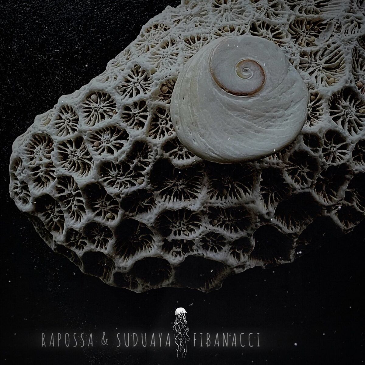 Album cover of Fibonacci