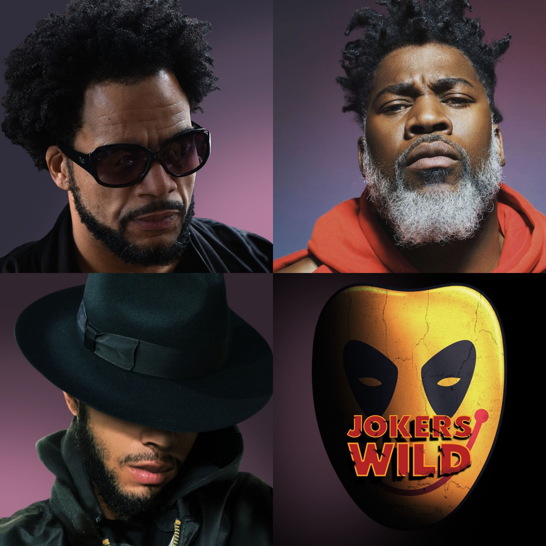 Album cover of Jokers Wild