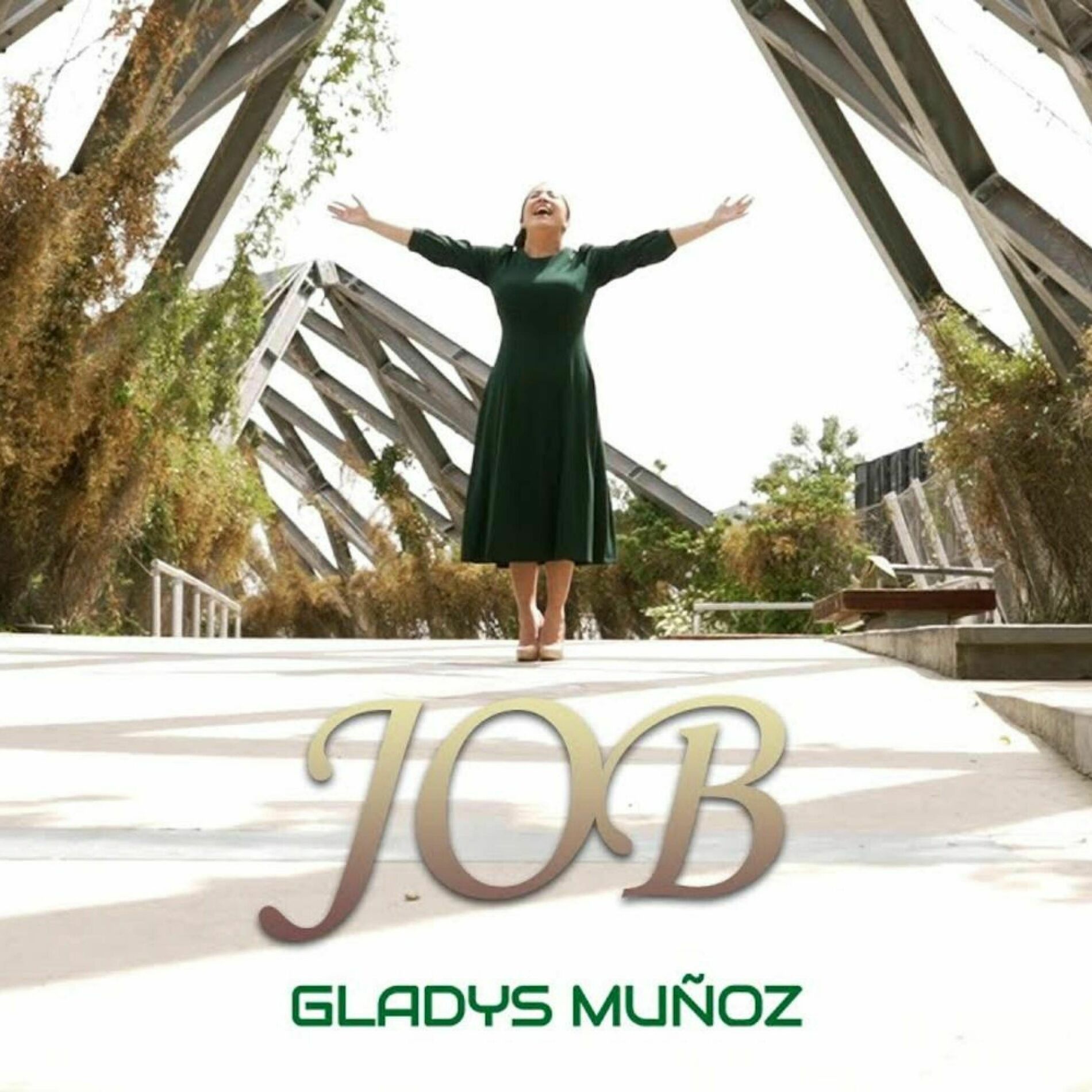 Album cover of Job