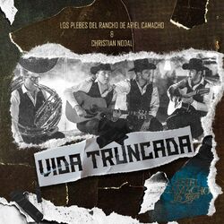 Cover of Vida Truncada
